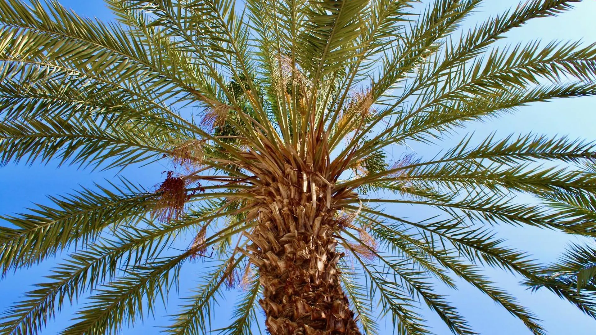 Riad Palais Blanc & Spa Marrakesh